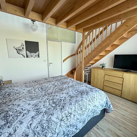 Miky Apartman Klinovec Garden Loučná pod Klínovcem Εξωτερικό φωτογραφία