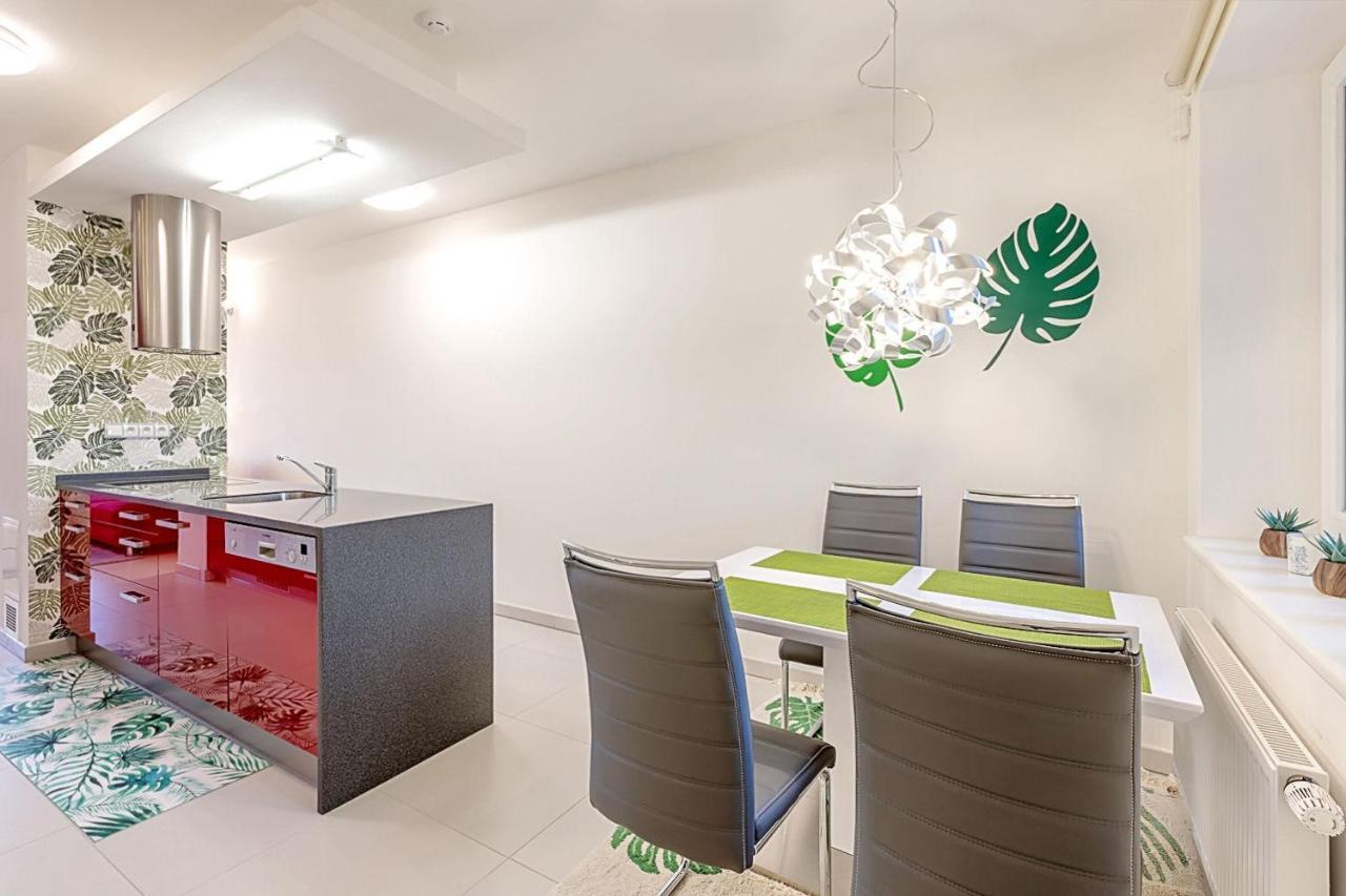 Miky Apartman Klinovec Garden Loučná pod Klínovcem Εξωτερικό φωτογραφία